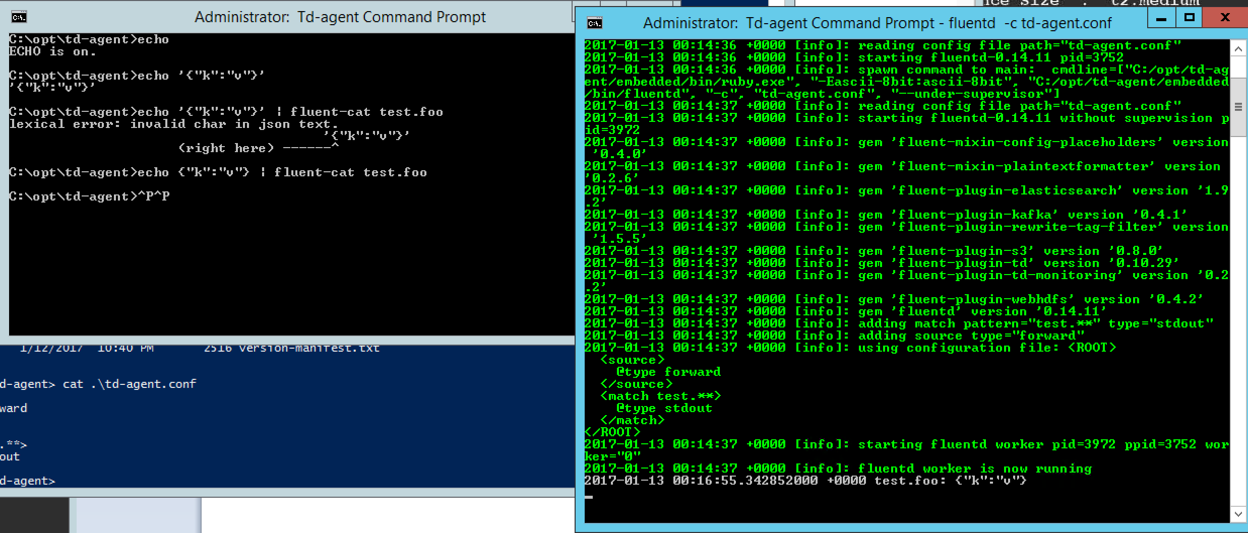 Td-agent Windows Prompt